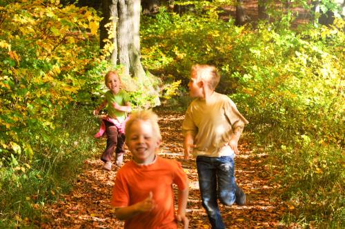 Dzieci biegające po lesie