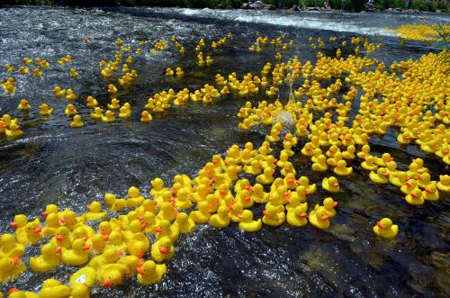 Gummienten im Wasser