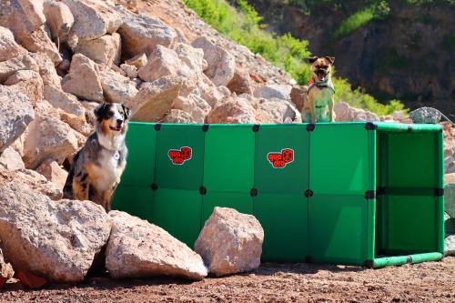 Two dogs in front of the QUADRO tunnel