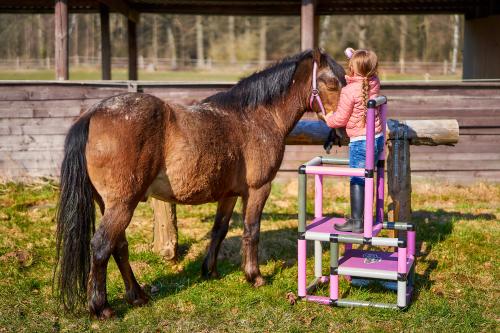 Mädchen mit Pferd