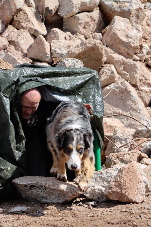 Mensch und Hund in einem QUADRO Tunnel