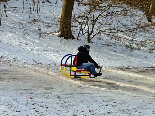 Fahrer auf QUADRO Schlitten fährt einen Berg hinunter