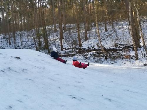 Kinder rutschen einen Hügel herunter