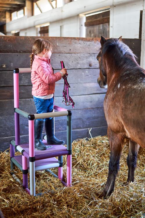 Mädchen mit Pferd