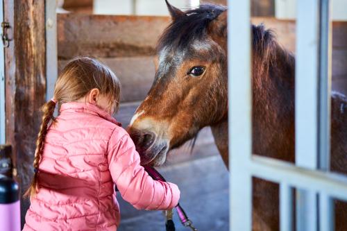 Mädchen mit Pferd