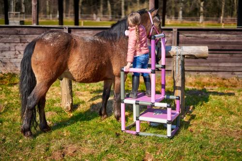 Mädchen mit Pferd