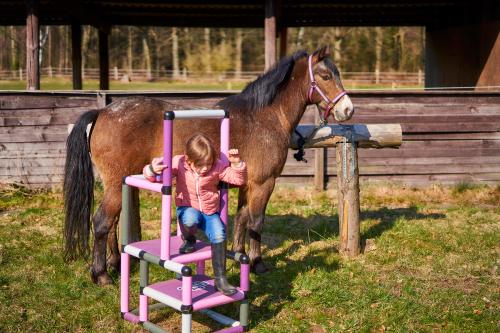 Mädchen mit Pferd