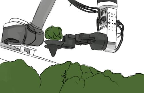 Roboter für Jungpflanzen